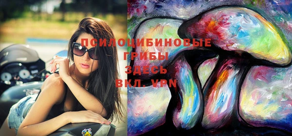 прущая мука Снежногорск