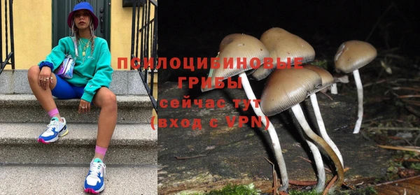 кокс Аркадак