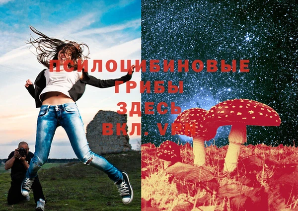 винт Арсеньев