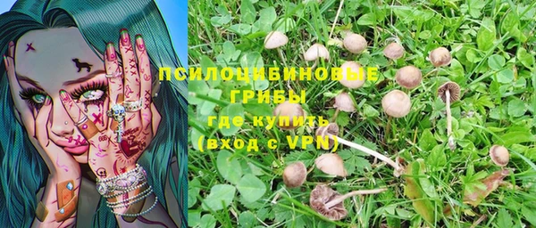 винт Арсеньев
